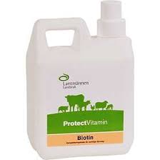Protect Biotin flyt 1 Lit
