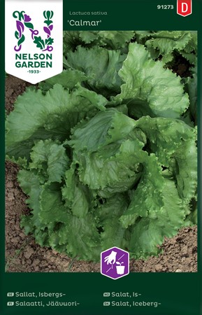 Isbergssallat, Calmar
