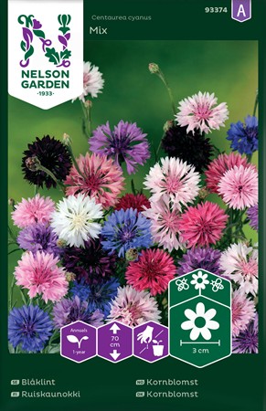 Blåklint, hög, bl färger