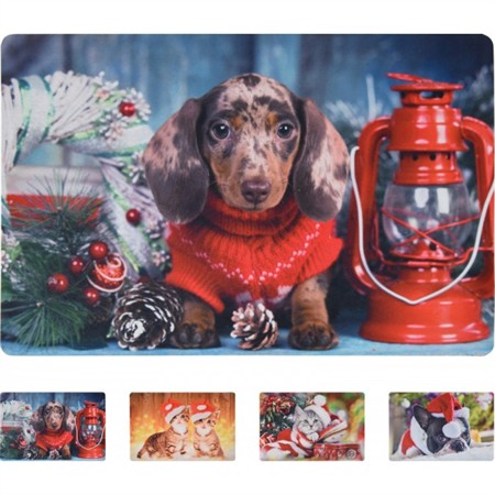 Dörrmatta djur - Julkatt i strumpa